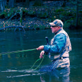 Where to fly fish in michigan?