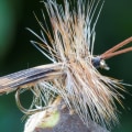 Does fly fishing use bait?