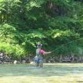 Improve Your Fly Fishing Casting