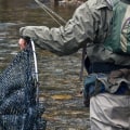 What fly rod weight for trout?