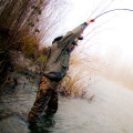 What fly rod for steelhead?
