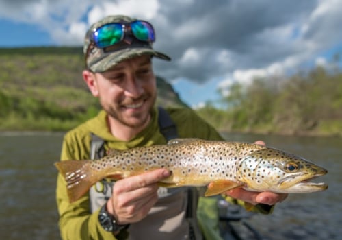 Which fly for trout fishing?