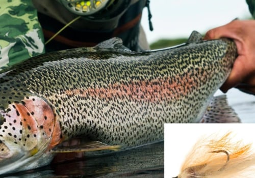 Does fly fishing catch more fish?