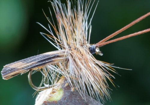 Does fly fishing use bait?